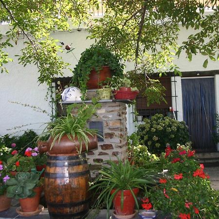 Apartamentos Y Casas Rurales Las Terrazas De La Alpujarra Bubion Exterior photo
